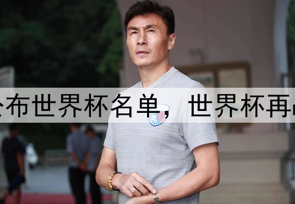澳大利亚公布世界杯名单，世界杯再战欧洲强队