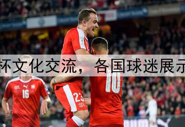 世界杯文化交流，各国球迷展示特色